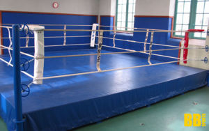 Achat Et Installation De Rings Boxe Par Le Fabricant BB Sports